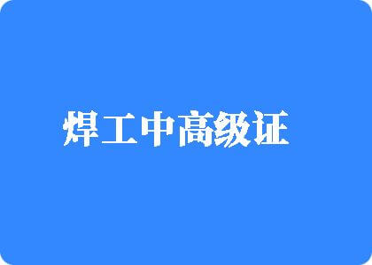 男女搞鸡网址焊工中高级证